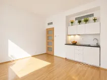 Pronájem bytu 2+kk, Praha - Žižkov, Jeseniova, 48 m2