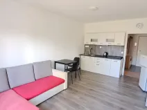 Pronájem bytu 1+kk, Polná, Pojmannova, 33 m2