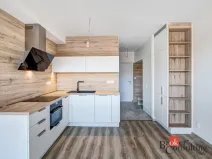 Pronájem bytu 1+kk, Plzeň - Východní Předměstí, Kartónová, 38 m2
