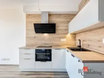 Pronájem bytu 1+kk, Plzeň - Východní Předměstí, Kartónová, 38 m2