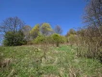 Prodej pozemku pro bydlení, Jeseník, 3985 m2