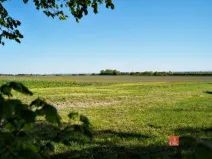 Prodej pozemku pro bydlení, Všejany, 1188 m2