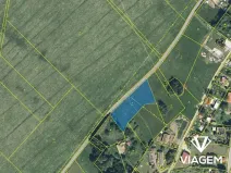 Prodej pole, Jílové u Držkova, 2976 m2
