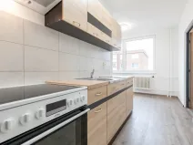 Prodej podílu 46/1000 bytu 2+1, Ryžoviště, Tovární, 52 m2