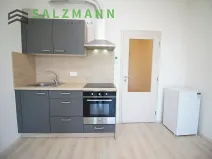Pronájem bytu 1+kk, Plzeň, Nemocniční, 29 m2