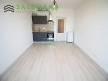 Pronájem bytu 1+kk, Plzeň, Nemocniční, 29 m2
