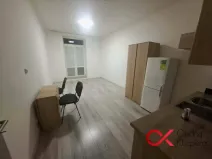 Pronájem bytu 1+kk, Milovice - Mladá, Slepá, 28 m2