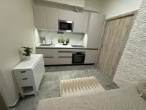 Pronájem bytu 2+kk, Praha - Nové Město, Sokolská, 20 m2