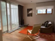 Pronájem bytu 1+kk, Praha - Vinohrady, Uruguayská, 60 m2