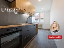 Pronájem bytu 3+1, Teplice, Jugoslávská, 81 m2