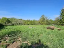 Pronájem bytu 1+1, Sebranice, 30 m2