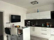 Prodej vícegeneračního domu, Troubsko, Pod vinohrady, 327 m2