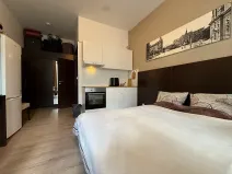 Pronájem bytu 1+kk, Brno, Francouzská, 26 m2