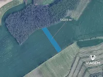 Prodej podílu pole, Těšany, 355 m2