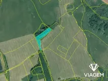 Prodej pole, Pšov, 5000 m2