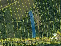 Prodej lesa, Hradec nad Moravicí, 3777 m2