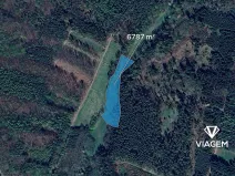 Prodej podílu pole, Morašice, 3959 m2