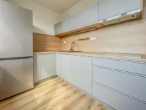 Pronájem bytu 1+1, Rakovník - Rakovník II, Družstevní, 37 m2
