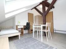 Pronájem bytu 1+kk, Praha - Smíchov, Lidická, 19 m2