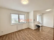Pronájem bytu 1+kk, Hustopeče, Alejní, 30 m2
