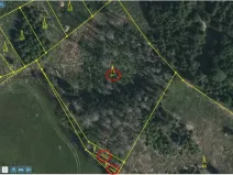 Prodej lesa, Knínice, 5303 m2