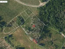Prodej lesa, Knínice, 5303 m2
