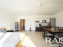 Prodej bytu 1+kk, Brno, Vranovská, 38 m2