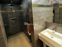 Pronájem bytu 2+kk, Praha - Vinohrady, Mánesova, 62 m2