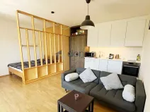 Pronájem bytu 1+kk, Praha, U jízdárny, 41 m2
