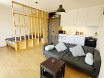 Pronájem bytu 1+kk, Praha, U jízdárny, 41 m2