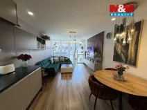 Prodej bytu 3+kk, Ostrava - Mariánské Hory, U Dvoru, 59 m2