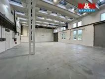 Pronájem výrobních prostor, Město Albrechtice, L. Janáčka, 410 m2