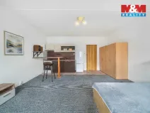 Prodej bytu 1+kk, Plzeň, Krašovská, 32 m2