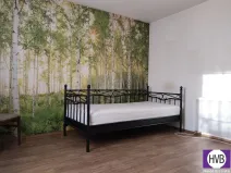Prodej rodinného domu, Spálené Poříčí, Havlíčkova, 150 m2