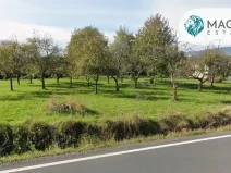 Prodej pozemku pro bydlení, Týn nad Bečvou, 694 m2