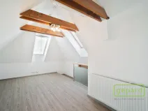 Pronájem bytu 2+kk, Praha - Vinohrady, Perucká, 79 m2