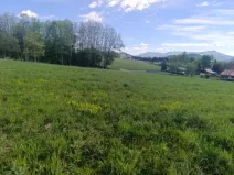 Prodej pozemku pro bydlení, Lichnov, 2292 m2