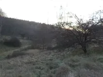 Dražba louky, Blíževedly, 2887 m2