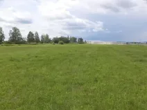 Dražba louky, Veselí nad Lužnicí, 1940 m2