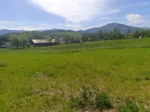 Prodej komerčního pozemku, Lichnov, 2338 m2