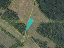 Prodej louky, Horušice, 11014 m2