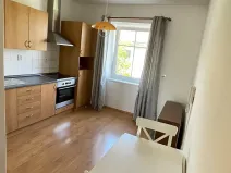 Pronájem bytu 1+1, Plzeň, Karlovarská, 33 m2