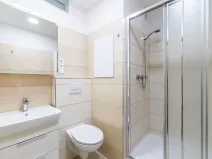 Pronájem bytu 2+kk, České Budějovice, Puklicova, 39 m2