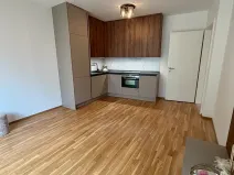 Pronájem bytu 2+kk, Praha - Smíchov, U Blaženky, 55 m2