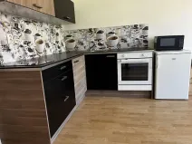 Pronájem bytu 1+kk, Praha - Nusle, Doudlebská, 29 m2