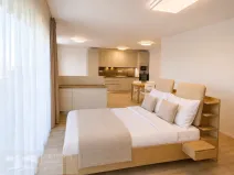 Pronájem bytu 2+kk, Brno, Auerswaldova, 62 m2