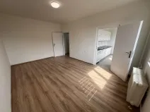 Pronájem bytu 1+1, Most, Jaroslava Vrchlického, 36 m2