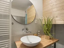 Prodej vícegeneračního domu, Bouzov - Kozov, 220 m2
