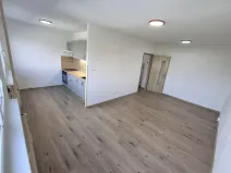 Pronájem bytu 1+kk, Most, Javorová, 35 m2