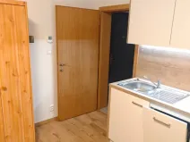 Pronájem bytu 1+kk, Plzeň - Skvrňany, Domažlická, 25 m2